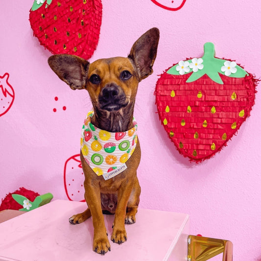 Fruity Donuts Bandana - Uppercrufts