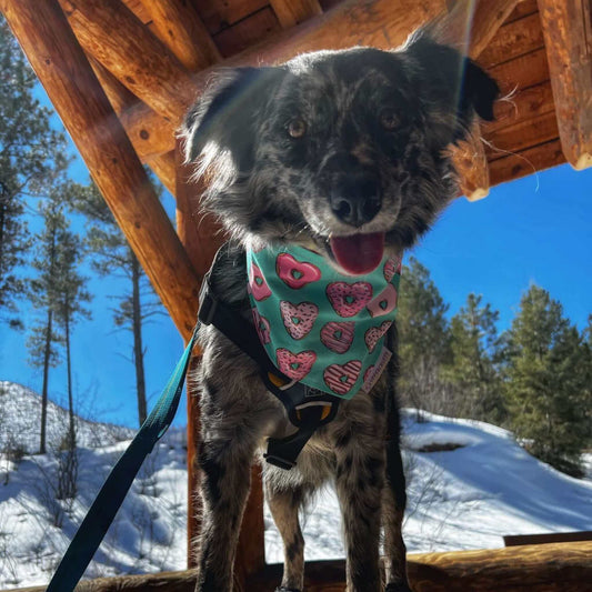 I Love Donuts Bandana - Uppercrufts