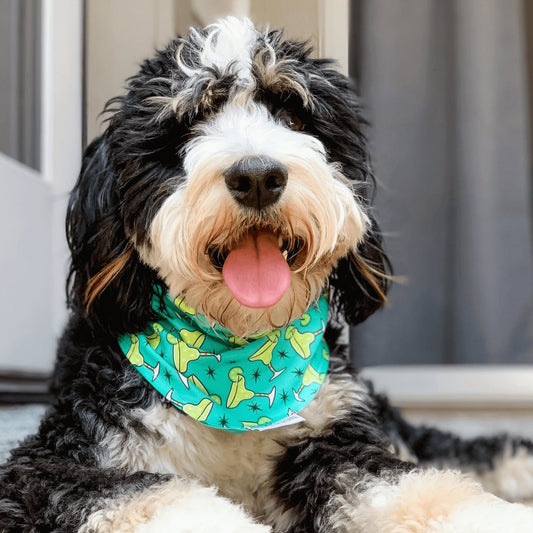 Margarita Time Bandana - Uppercrufts