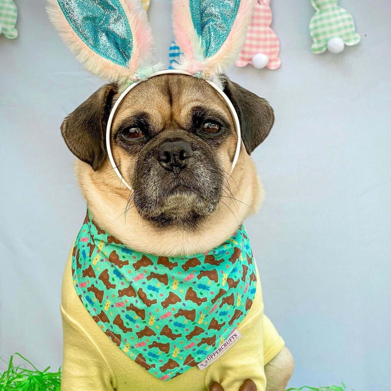 Chocolate Bunnies Bandana