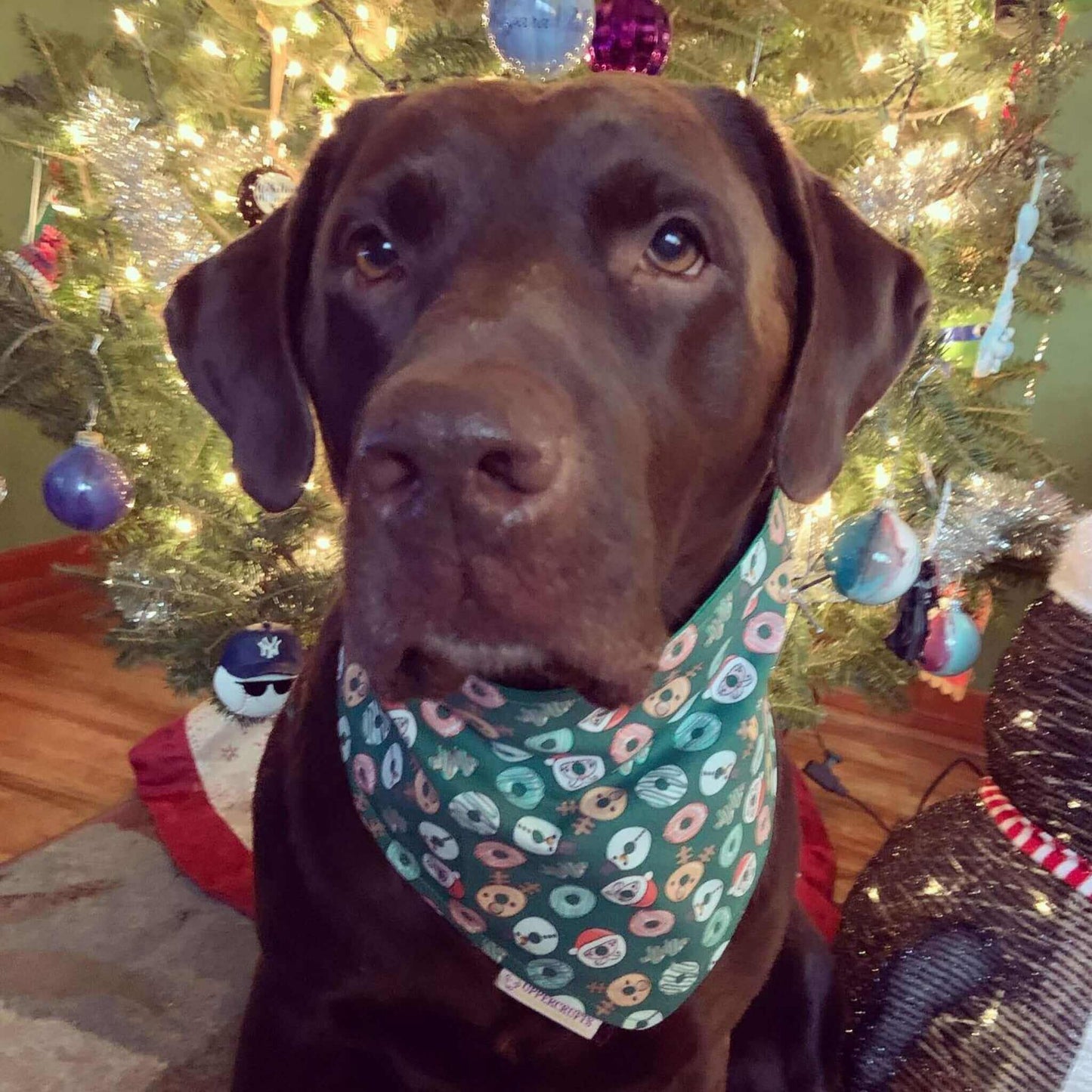 Christmas Donuts Bandana - Uppercrufts