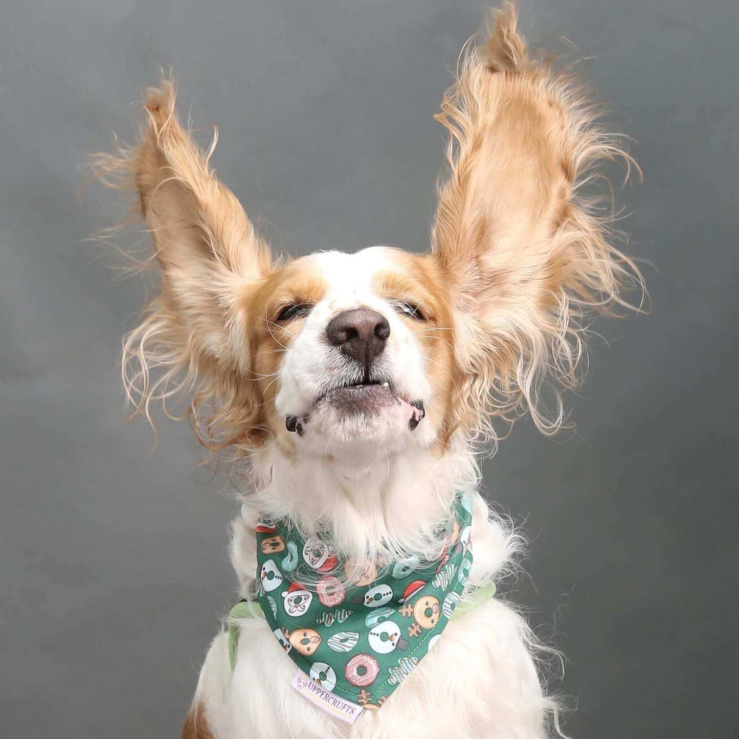 Christmas Donuts Bandana - Uppercrufts