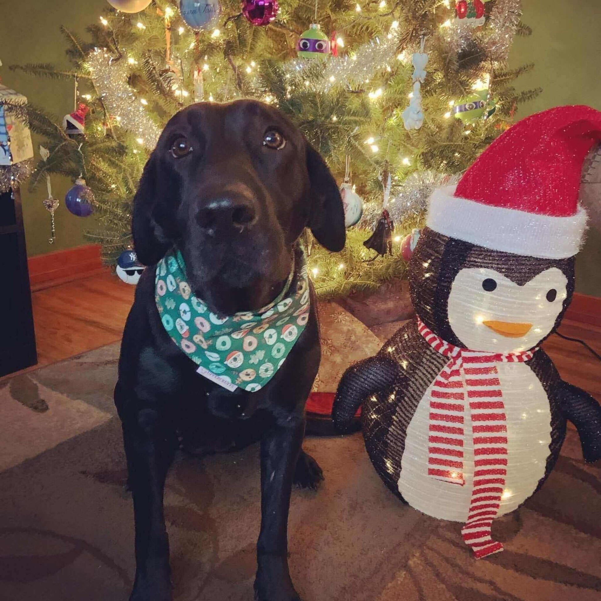 Christmas Donuts Bandana - Uppercrufts