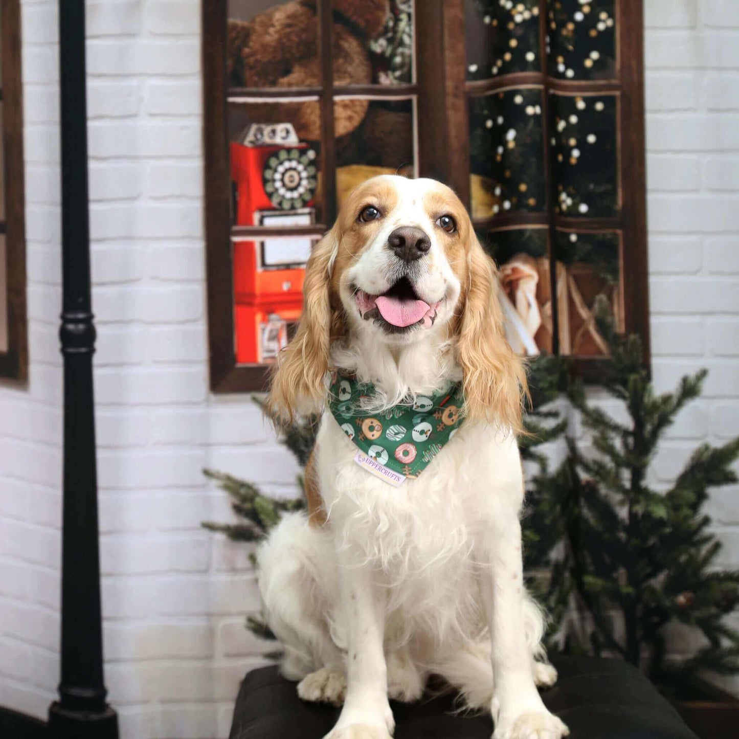 Christmas Donuts Bandana - Uppercrufts