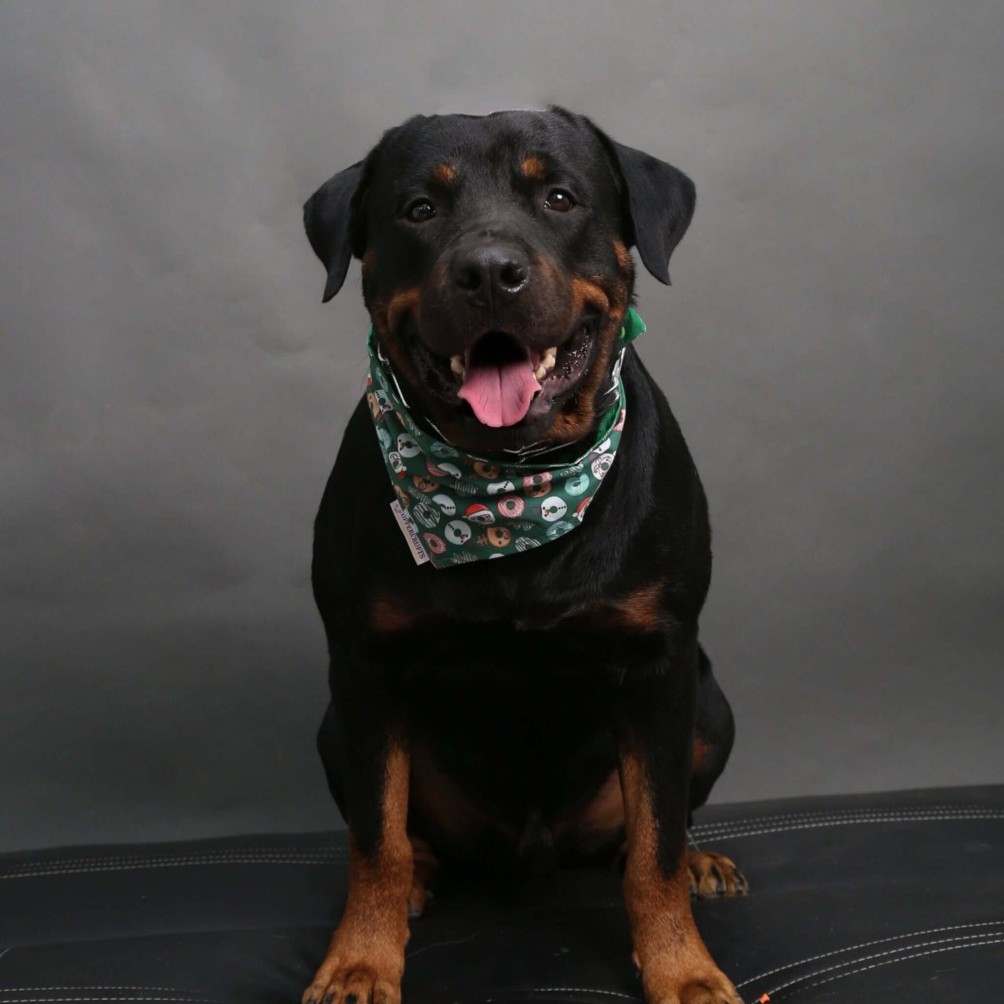 Christmas Donuts Bandana - Uppercrufts