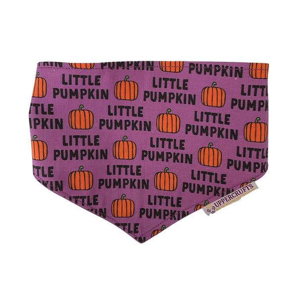 Little Pumpkin Bandana - Uppercrufts