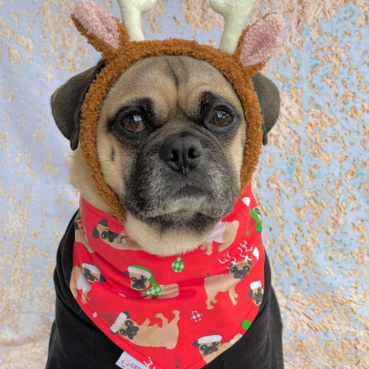 Merry Pugmas Bandana - Uppercrufts