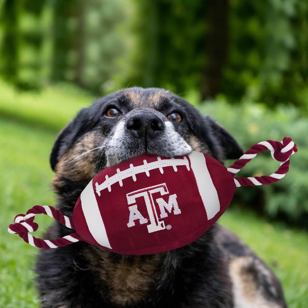 Texas A&M Football Toy - Uppercrufts