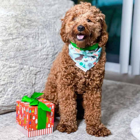 Christmas bandana hotsell for humans